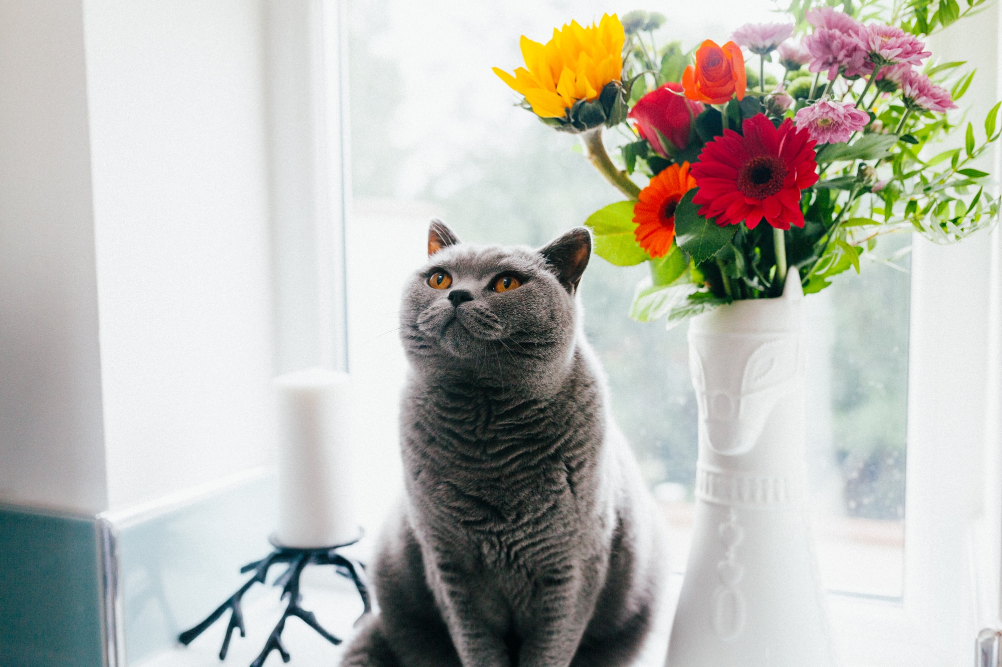 Window ledge Ideal Window Replacements